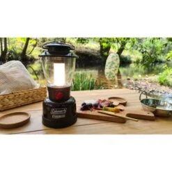 Camping Series Shop 19 Camping Series Shop -Camping Series Shop BCF 384146 00 hi res